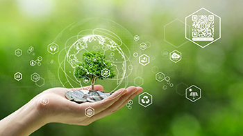 Sustainability